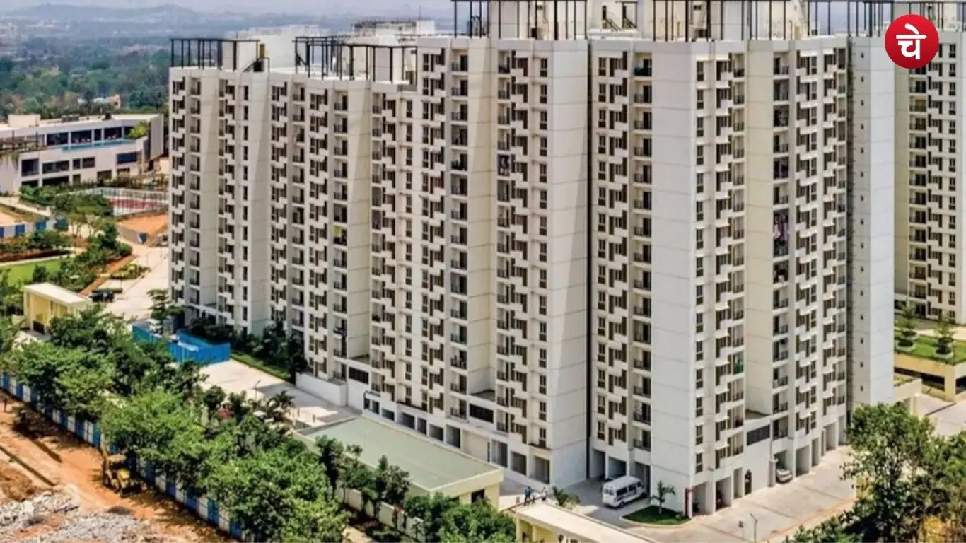 rera (3)