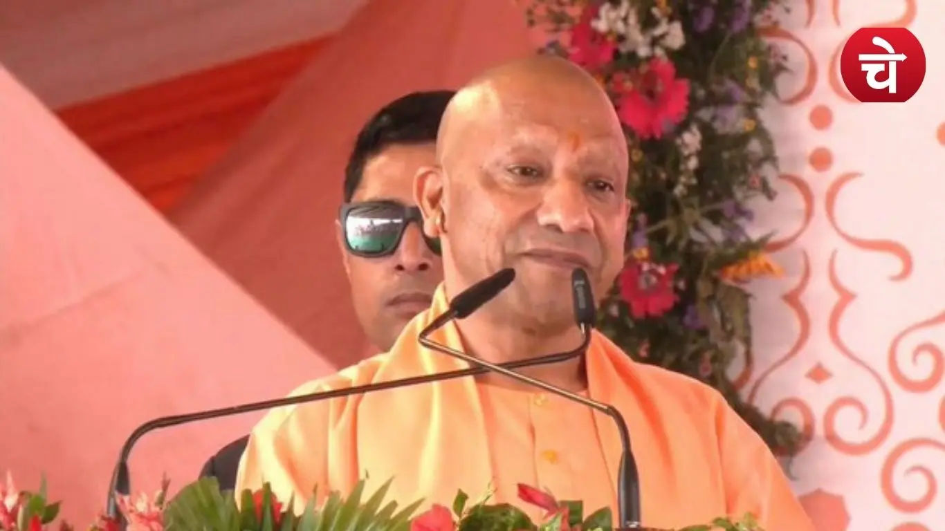 yogi prd
