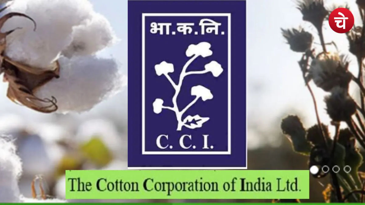 CCI Recruitment 2026: 148 पदों पर निकली बंपर भर्ती, 24 जुलाई तक करें आवेदन