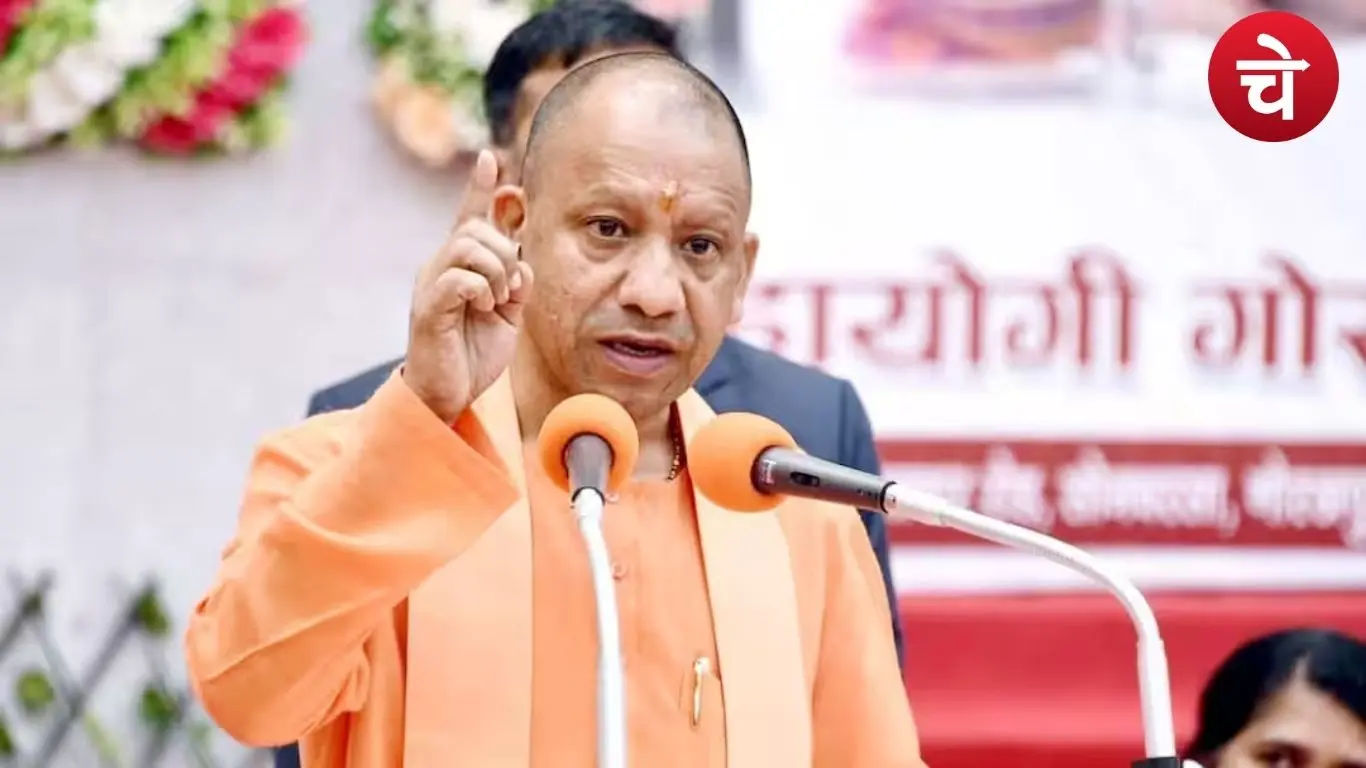 Cm Yogi