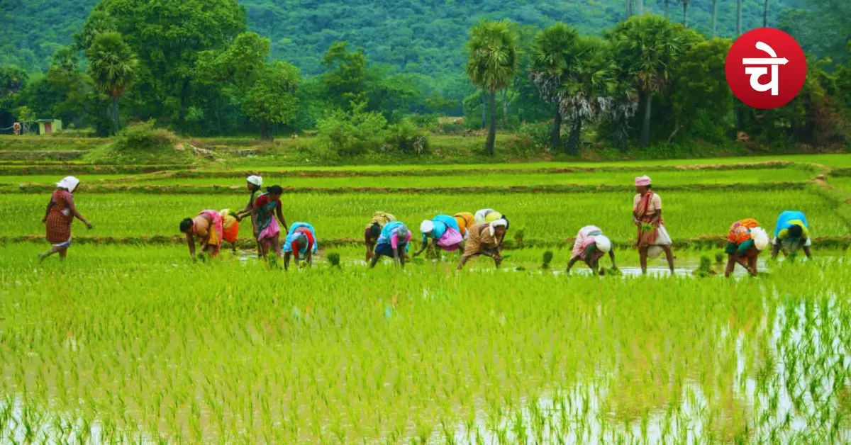 Farm Pond Yojana Rajasthan