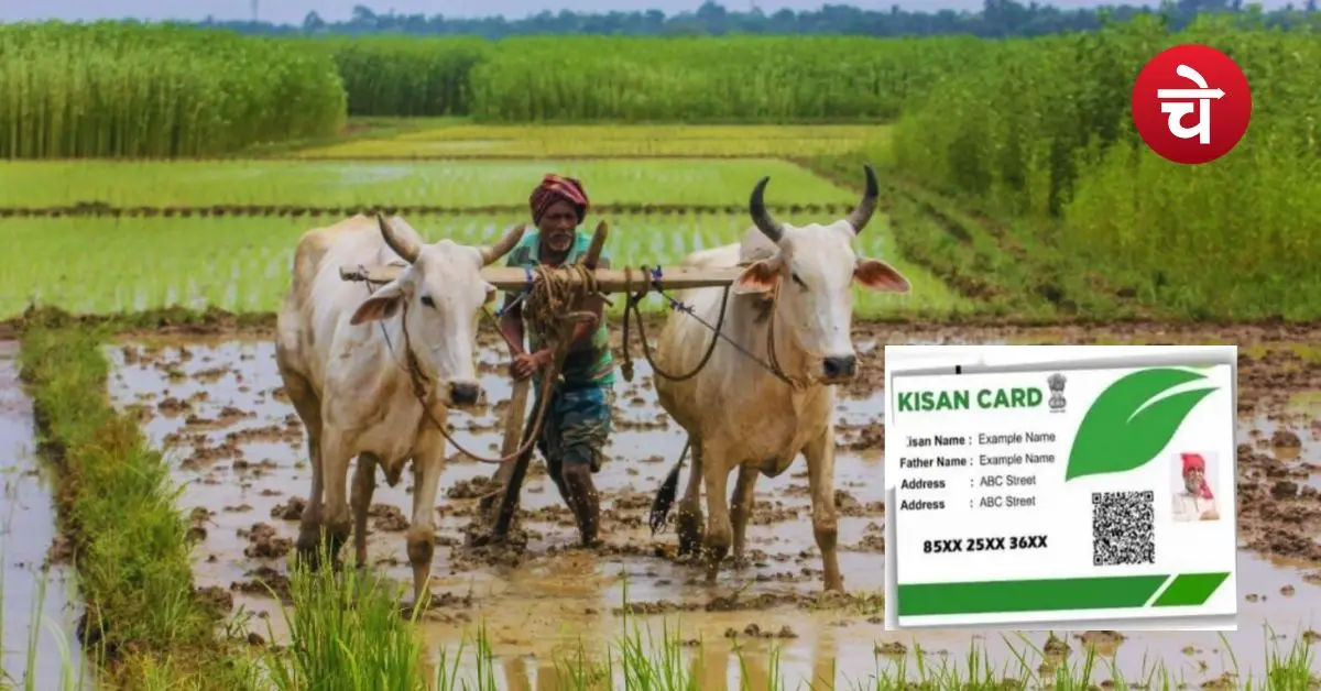 किसान हैं तो तुरंत पढ़ें ये खबर, बिना Farmer ID बढ़ सकती है परेशानी