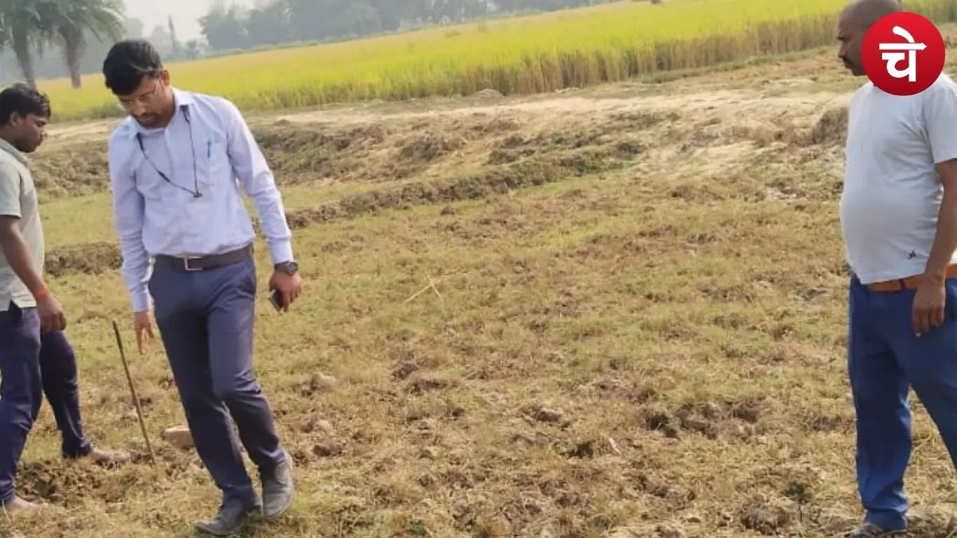 Land Measurement