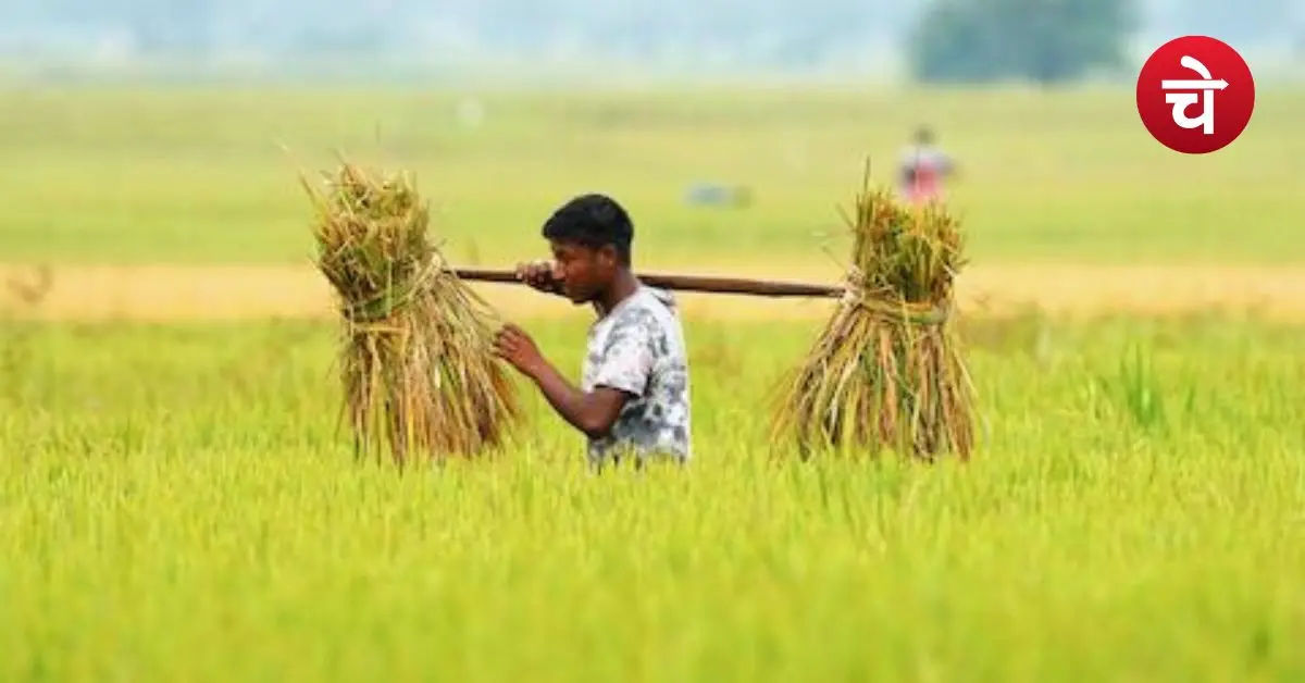 PM Fasal Bima Yojana