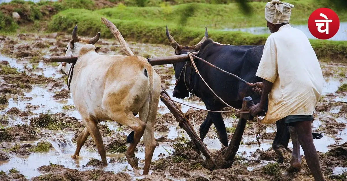 PM Kisan Yojana
