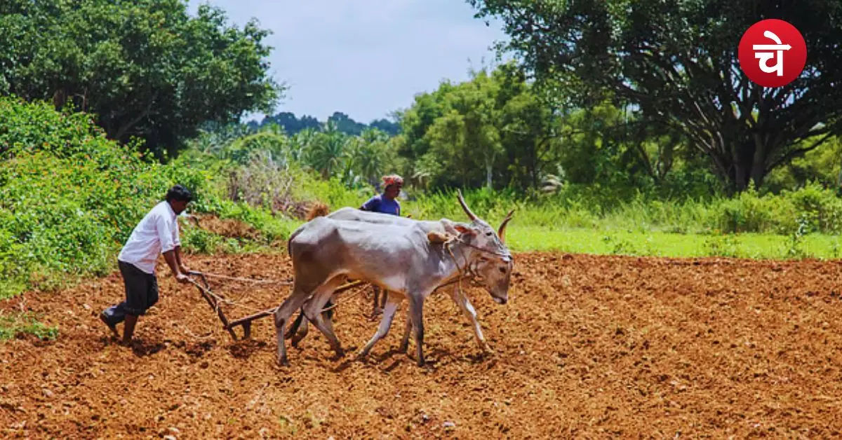 PM Kisan Yojana Rules