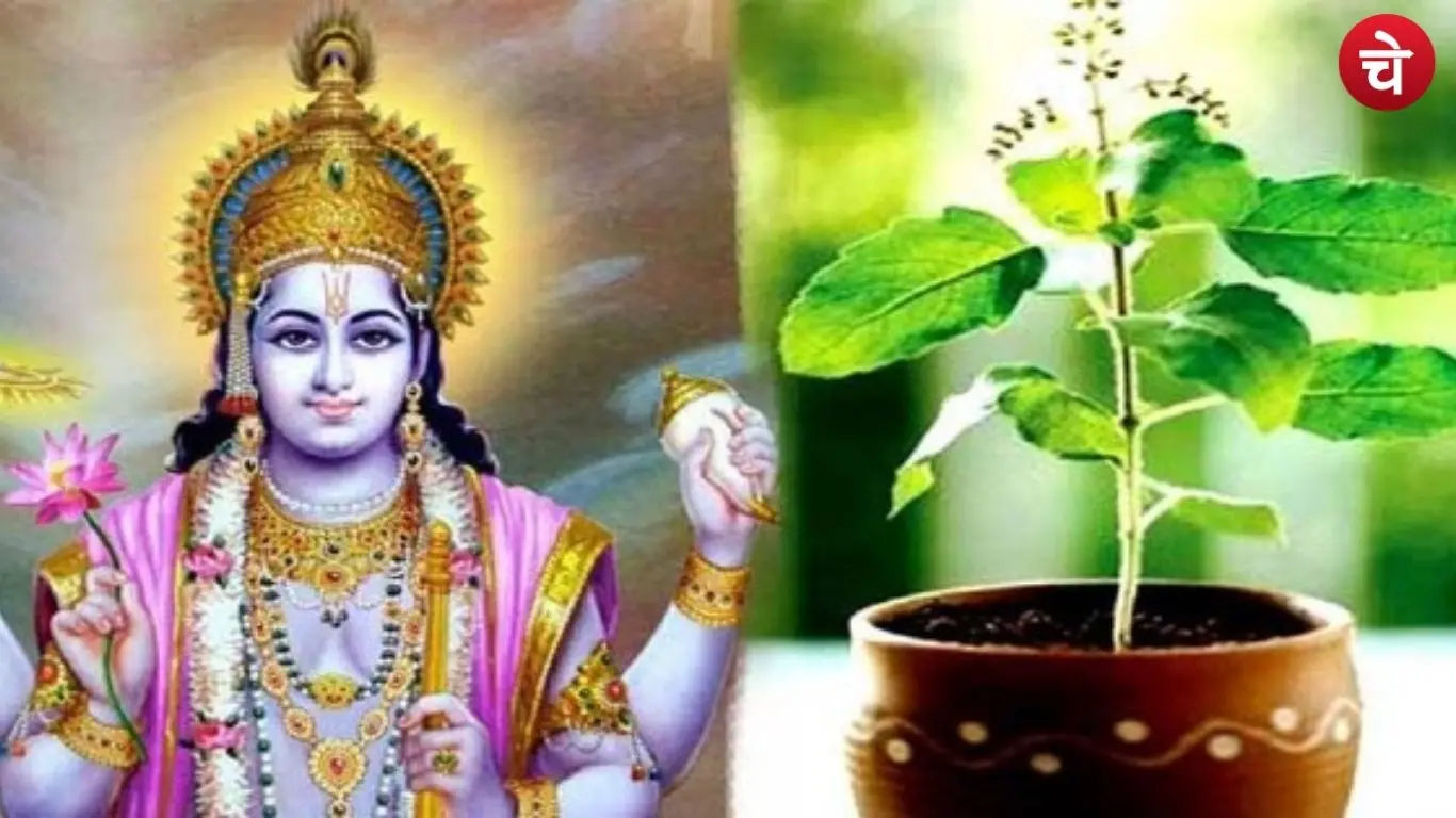 significance of Tulsi at final moment
