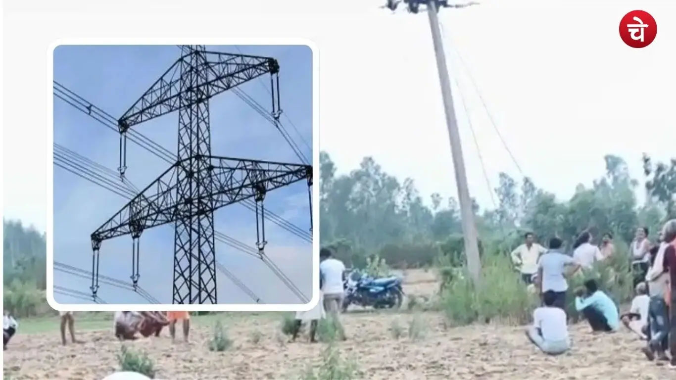 bijli (6)
