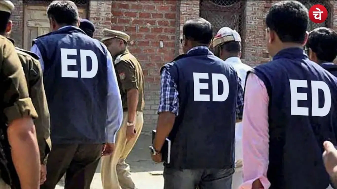 ed (2)