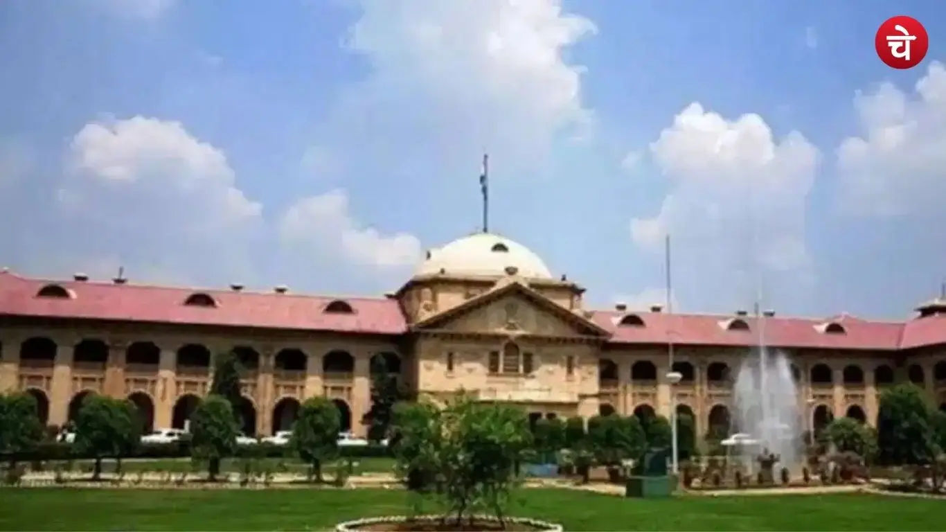 hai court (2)