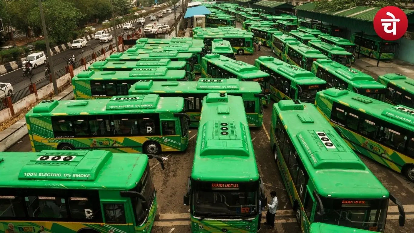 DTC buses