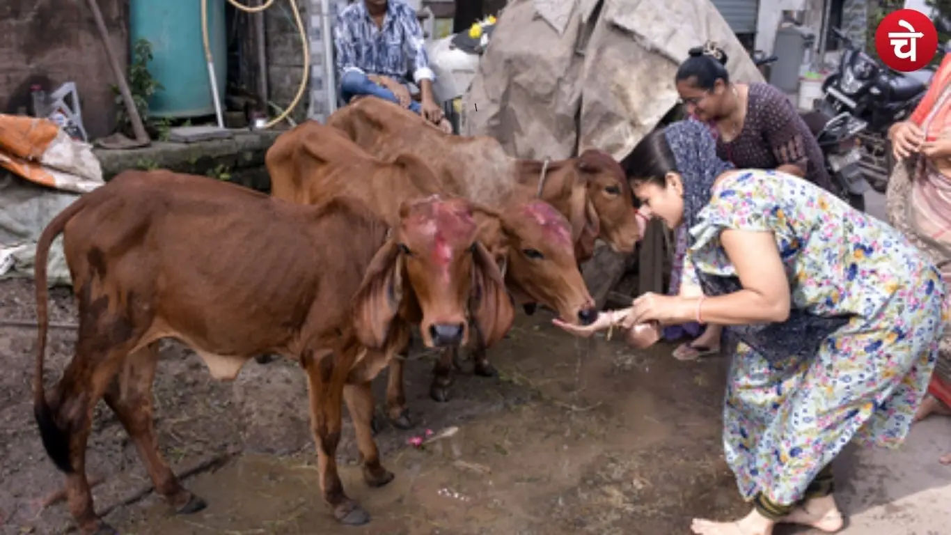 Livestock farmers income will increase