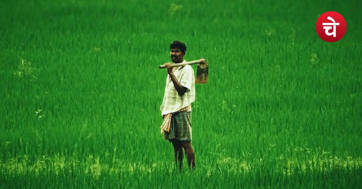 Maharashtra Farmer Loan Waiver