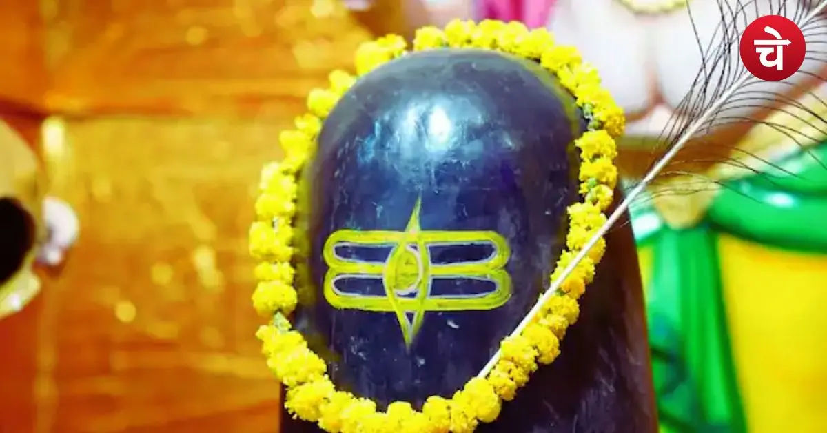 सावन में रुद्राभिषेक करने जा रहे हैं तो जान लें ये 5 शुभ दिन, भोलेनाथ की बरसेगी कृपा