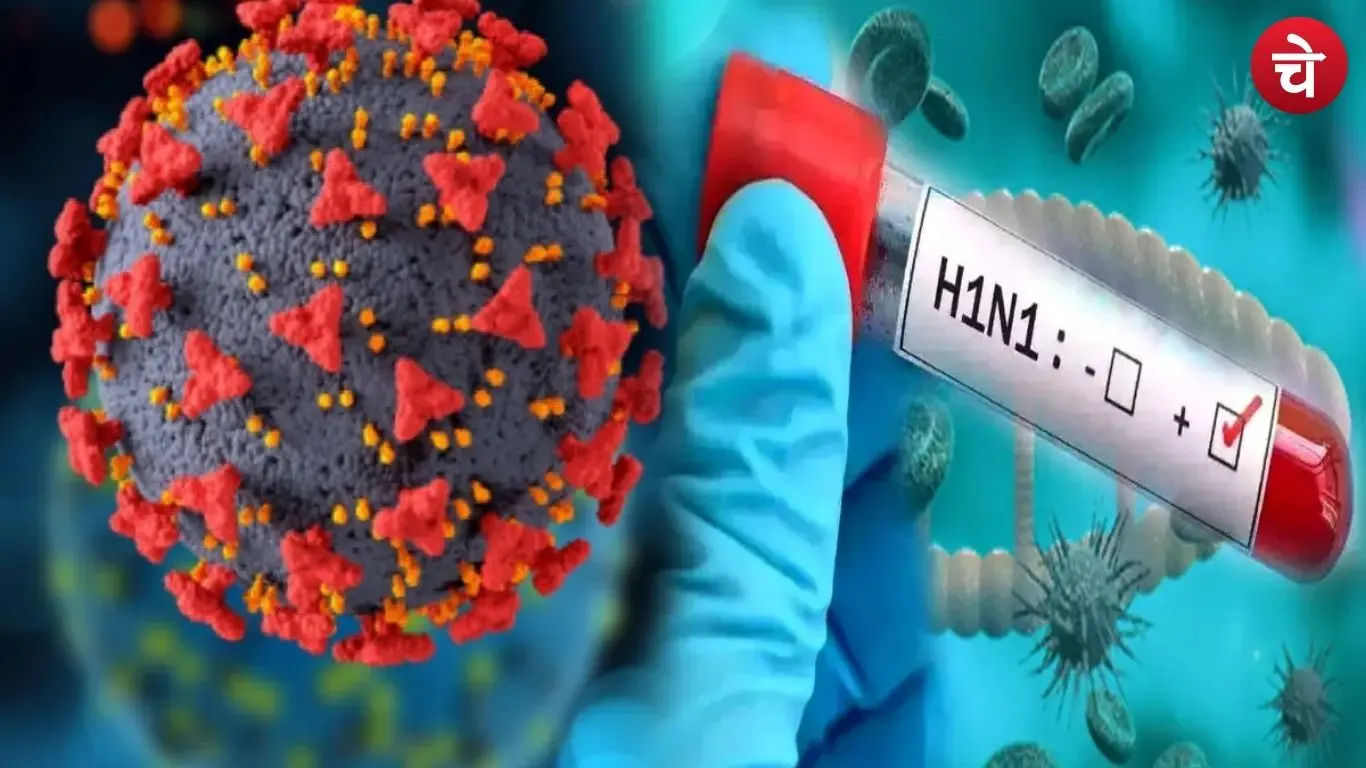 Swine flu