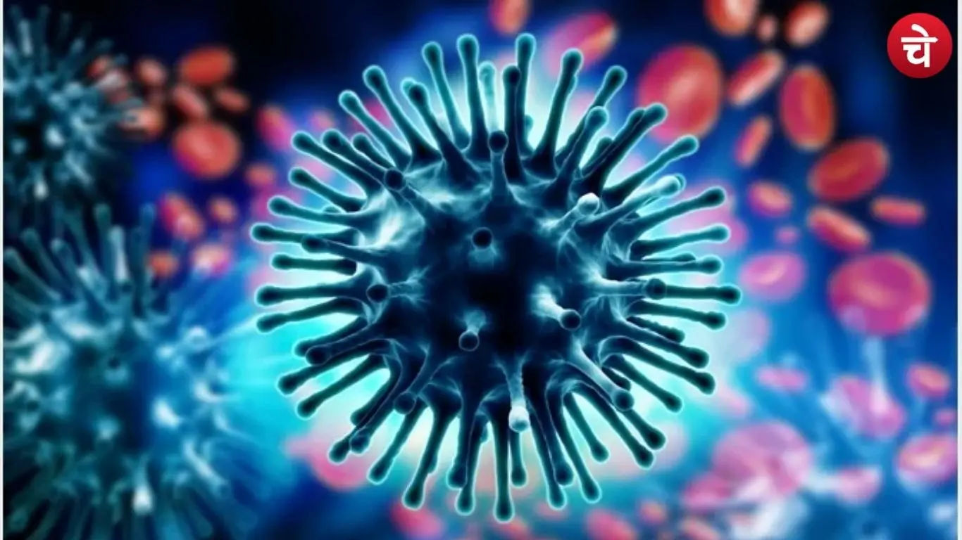 Swine flu
