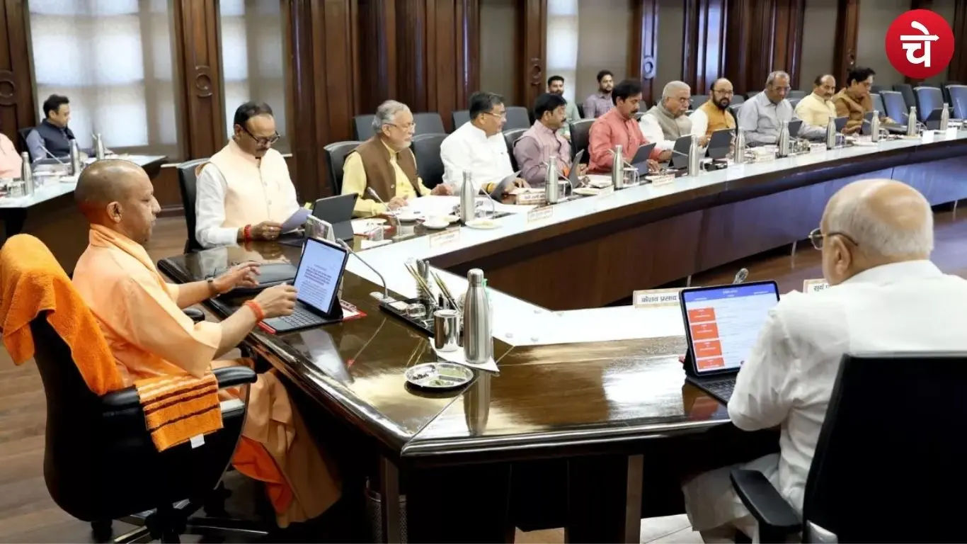 Yogi Cabinet