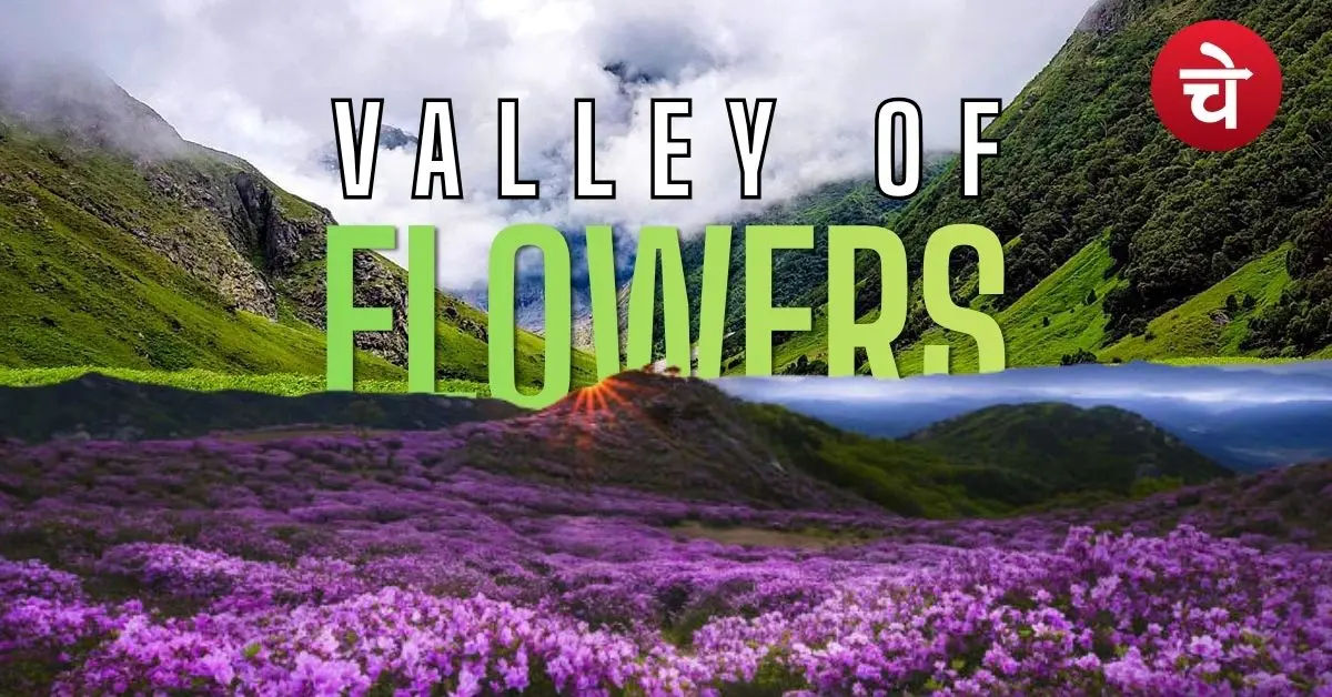 valley of flowers