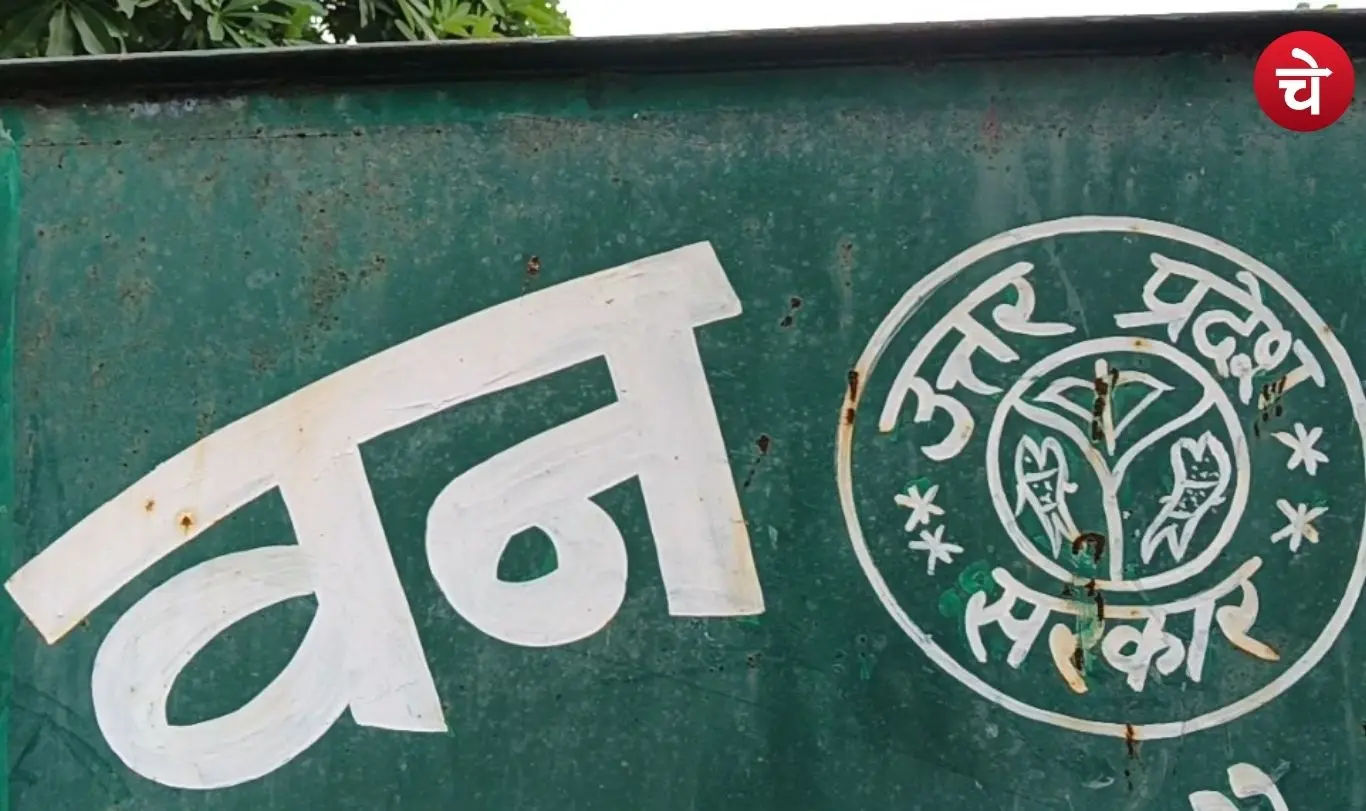 van vibhag