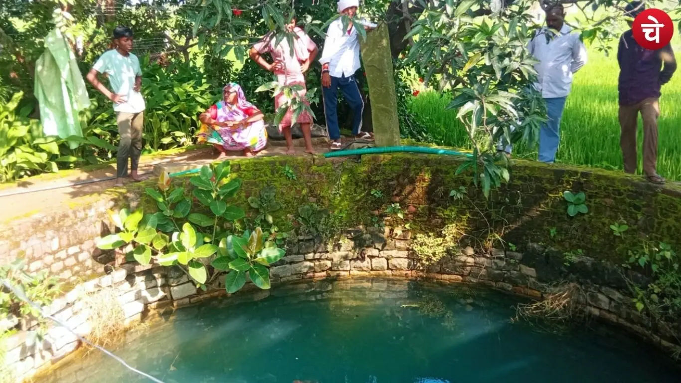Crocodile in well
