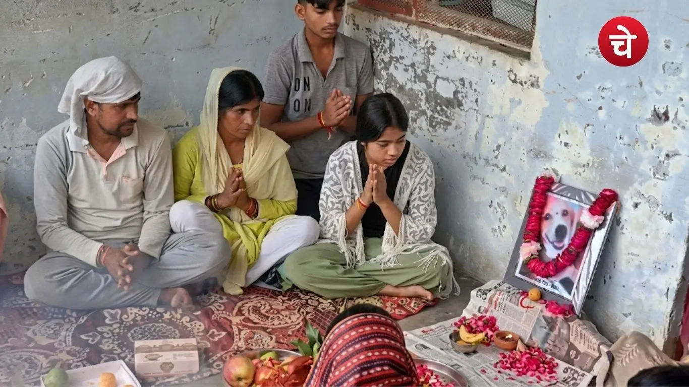 उत्तर प्रदेश के चर्चित टफ्फू की 13वीं बनी चर्चा का विषय