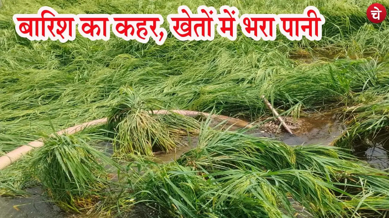 Farmers UP