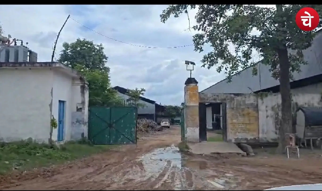 Hindustran Factory
