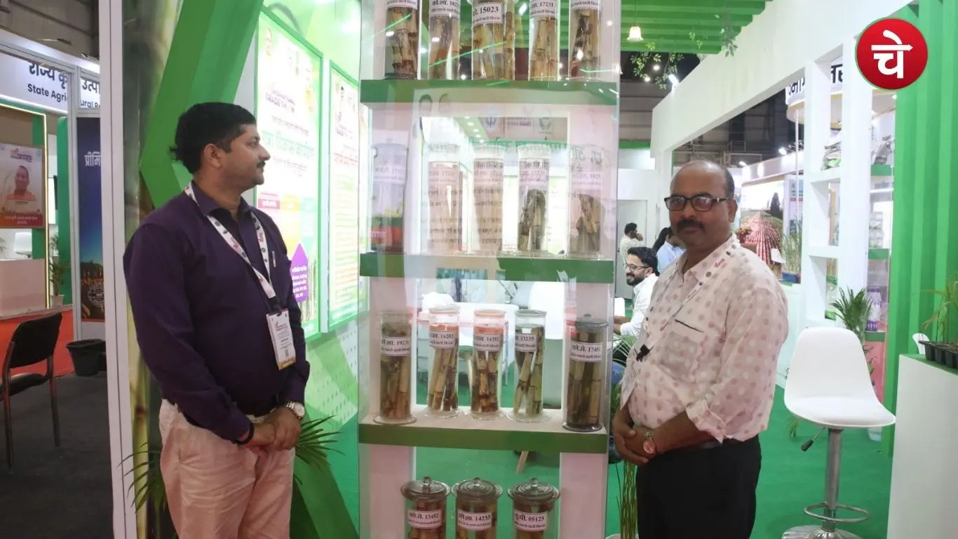 New, improved sugarcane varieties displayed at the international trade show