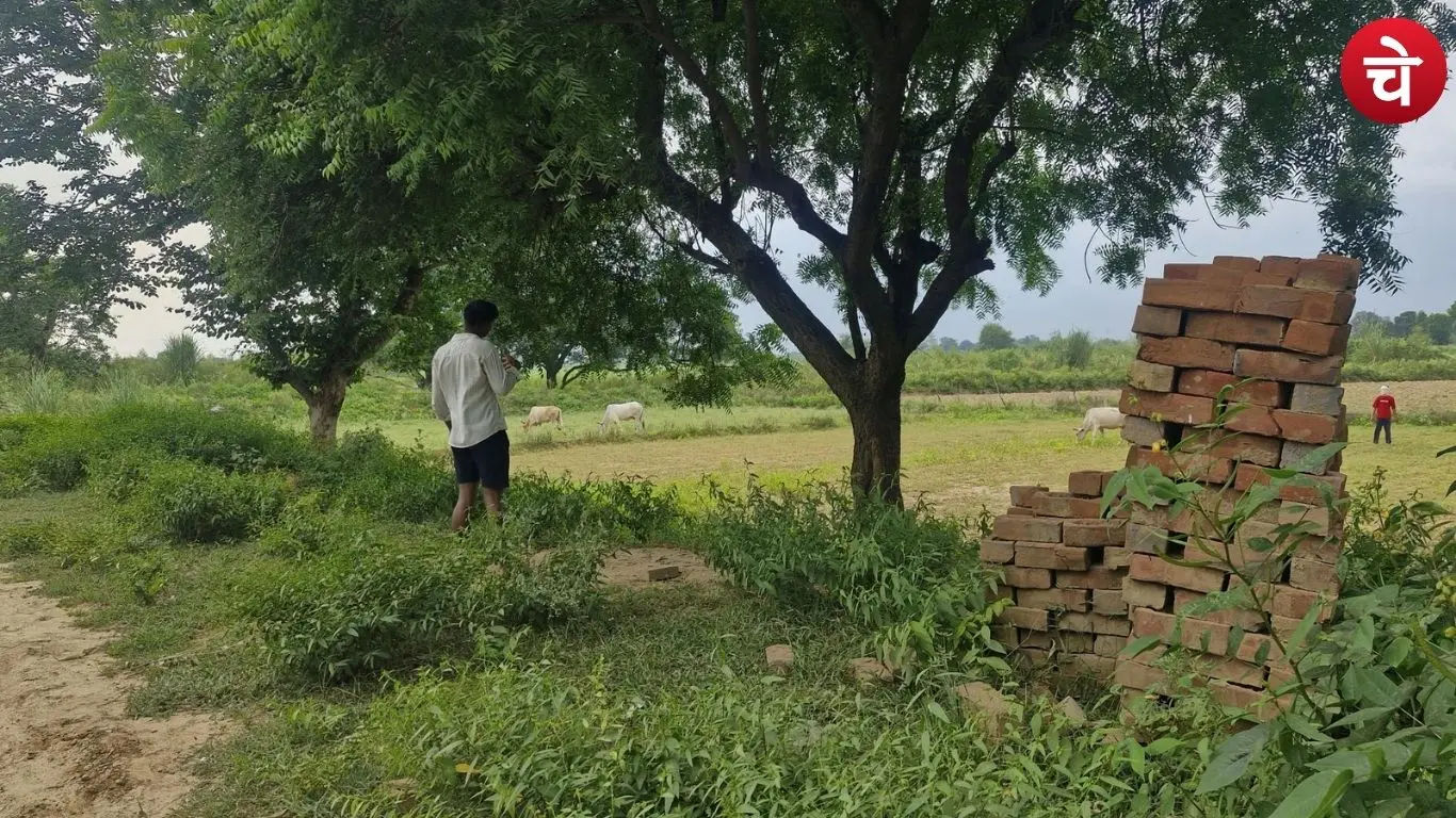 Photo of a farmer keeping watch
