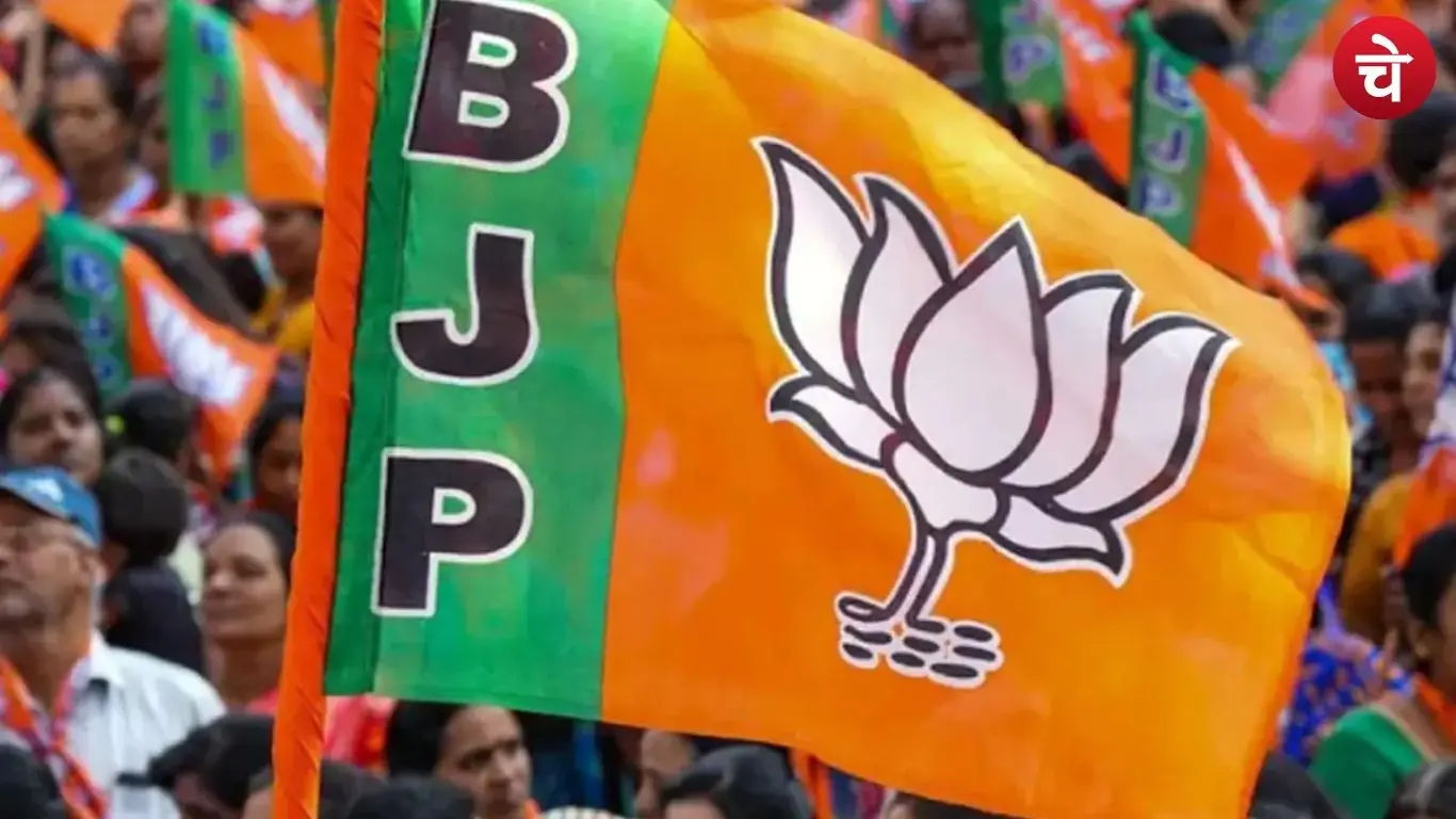 Photo of the BJP flag