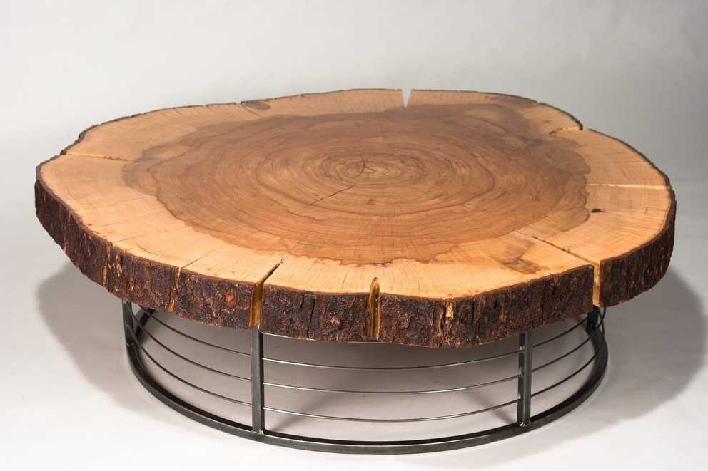 15 Ideas of Tree Trunk Coffee Table