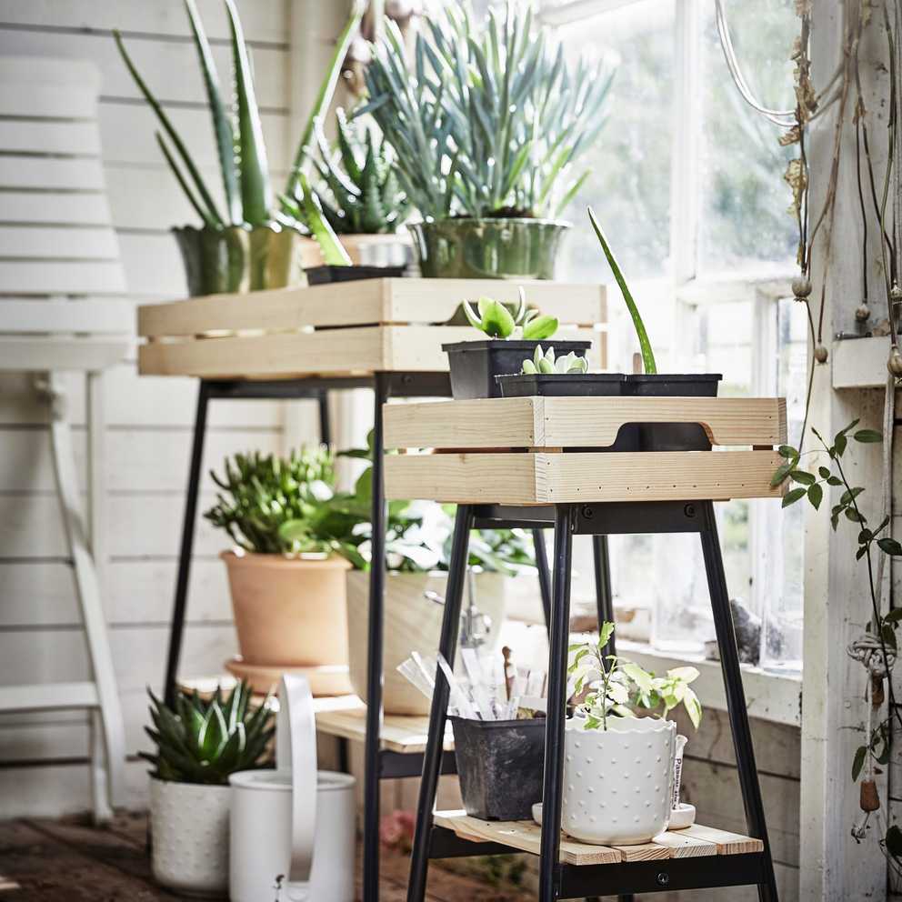 Explore Gallery of Green Plant Stands (Showing 2 of 15 Photos)