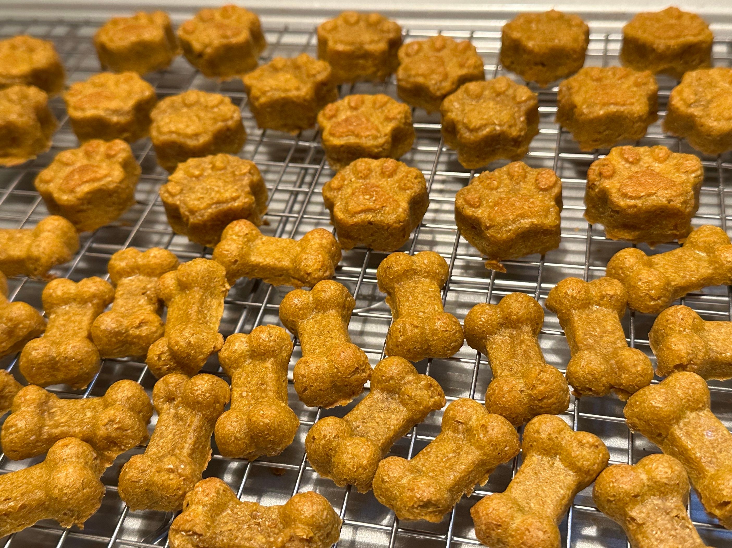 Jordie's Chomp Chomps