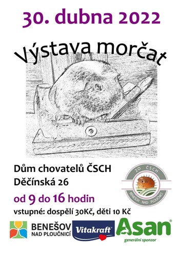 10. Výstava morčat Benešov nad Ploučnicí