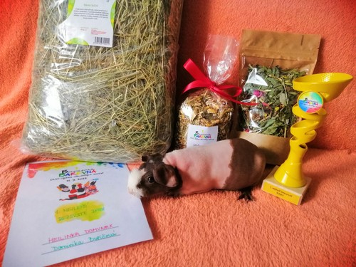 CZGCH Heilinka Domunax