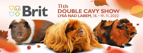 11TH DOUBLE CAVY SHOW LYSÁ NAD LABEM 2022