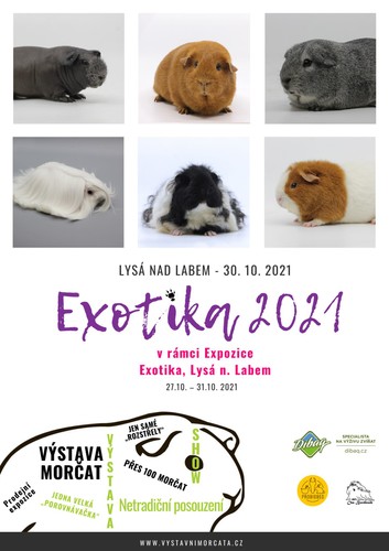 Exotika - výstava v Lysé nad Labem