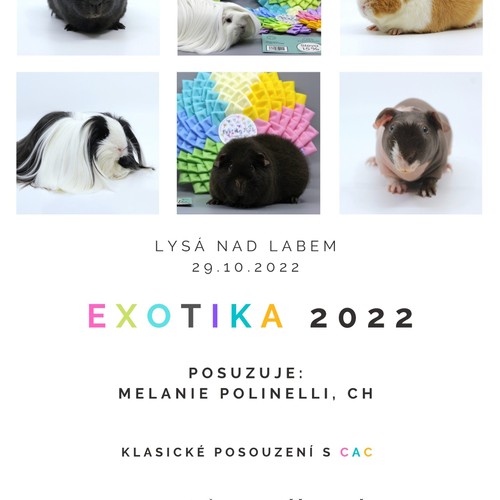 Exotika 2022