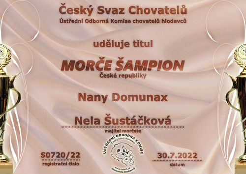 CZCH Nany Domunax