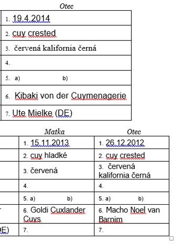 Kibaki von der Cuymenagerie