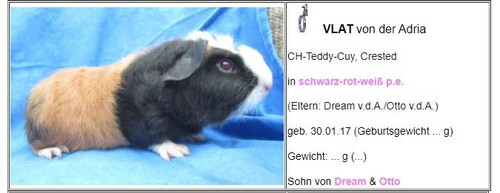 Vlat von der Adria