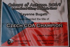 COA 2019