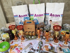 21.Výstava morčat Rychnov nad Kněžnou