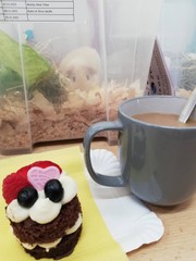 4. Duo výstava morčat v Dětkovicích