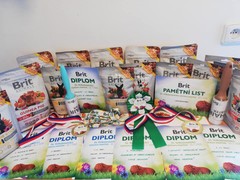 25. a 26. Velkolosenická výstava morčat