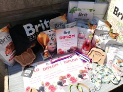 27. Velkolosenická výstava morčat