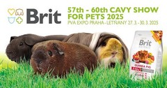 57th CAVY SHOW FOR PETS 2025, PVA EXPO PRAHA - LETŇANY