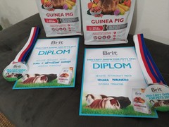 50th CAVY SHOW FOR PETS 2022