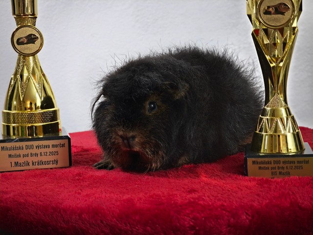Whisky MoraVero