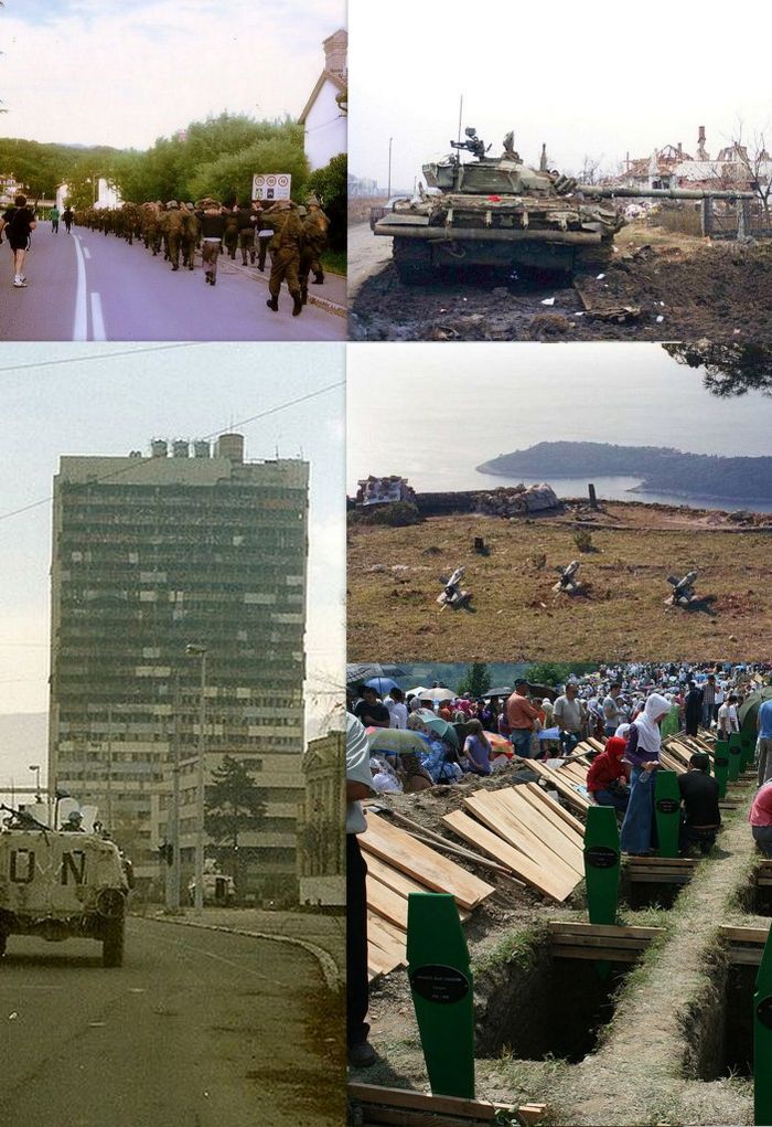 timeline cover